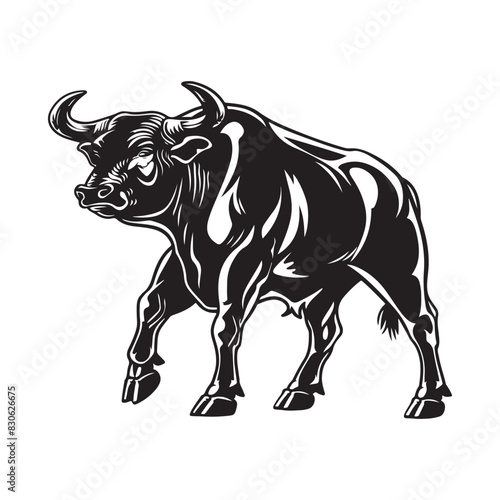 Bull Vector Images. Black and white illustration of a bull isolated on white background