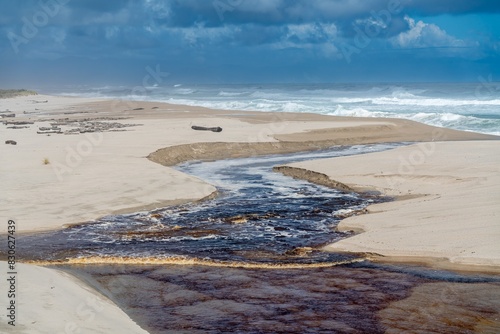 Brown tanin river flowing into the ocean in Karamea, West Coast, New Zealand. photo