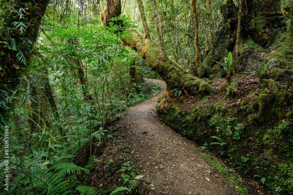 Opara Basin, Karamea, West Coast, New Zealand. Opara Basin, Karamea, West Coast, New Zealand.