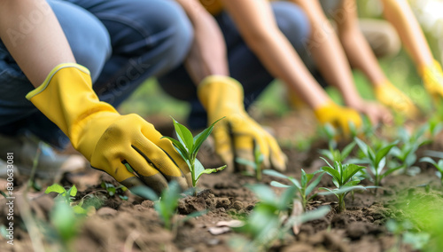 On June 5th, World Environment Day, people wearing gloves were planting trees and gardening in the garden. Young seedlings were planted against a green background, surrounded by blurry vegetation