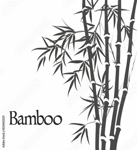 a black and white picture of a bamboo tree