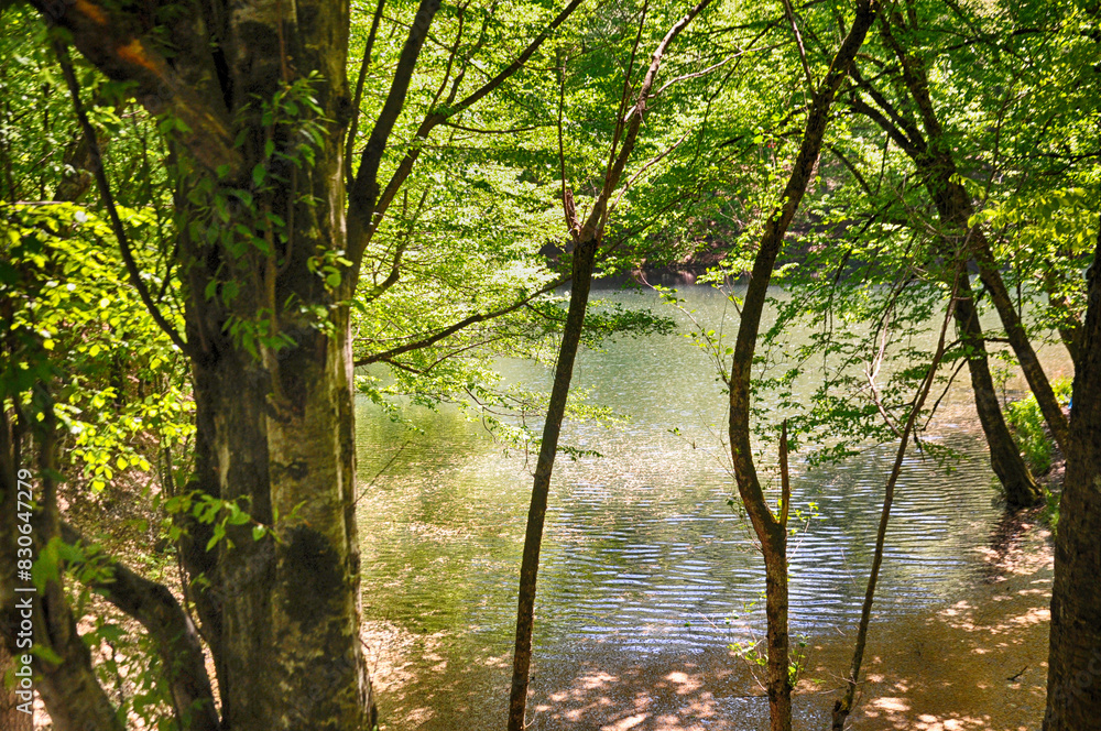 Beautiful lake and spring landscape in Seven Lakes, Yedigoller National Park Bolu, Turkey Beautiful lake and spring landscape in Seven Lakes, Yedigoller National Park Bolu, Turkey