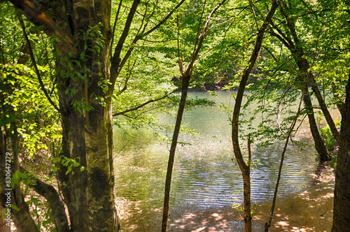 Beautiful lake and spring landscape in Seven Lakes, Yedigoller National Park Bolu, Turkey