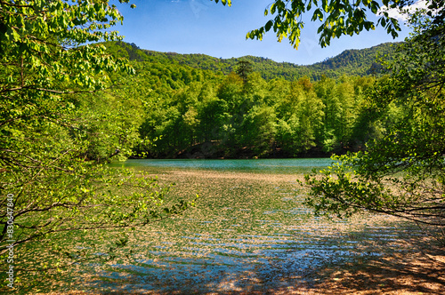 Beautiful lake and spring landscape in Seven Lakes, Yedigoller National Park Bolu, Turkey photo