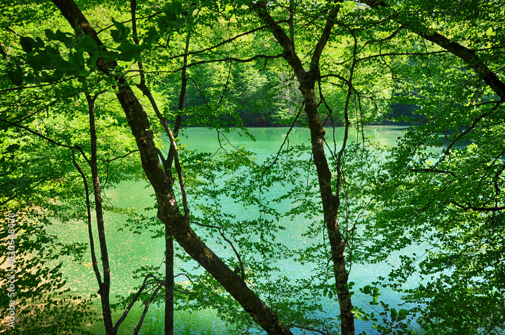 Beautiful lake and spring landscape in Seven Lakes, Yedigoller National Park Bolu, Turkey Beautiful lake and spring landscape in Seven Lakes, Yedigoller National Park Bolu, Turkey