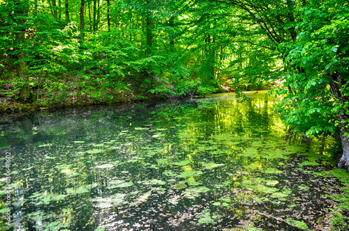 Beautiful lake and spring landscape in Seven Lakes, Yedigoller National Park Bolu, Turkey photo