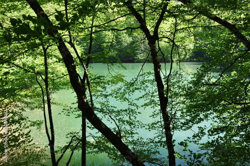 Beautiful lake and spring landscape in Seven Lakes, Yedigoller National Park Bolu, Turkey photo