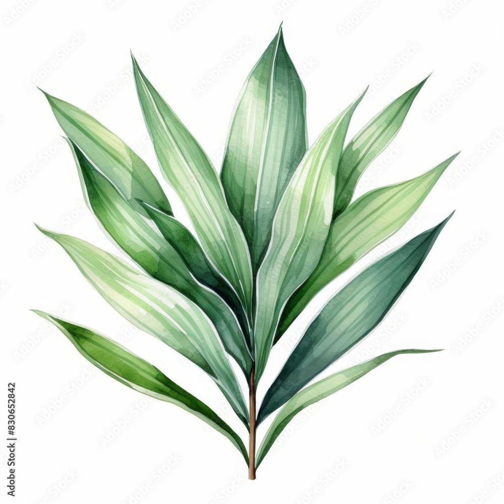 Obraz premium A watercolor painting of a tropical leaf