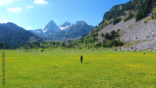 An unrecognizable hiker walks through a beautiful valley filled with yellow flowers with a view of snow-covered peaks - drone footage photo