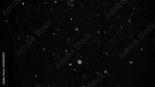 Snow on black background, slow motion, falling snowflakes, snowing, natural snowfall backdrop for overlay effect.
