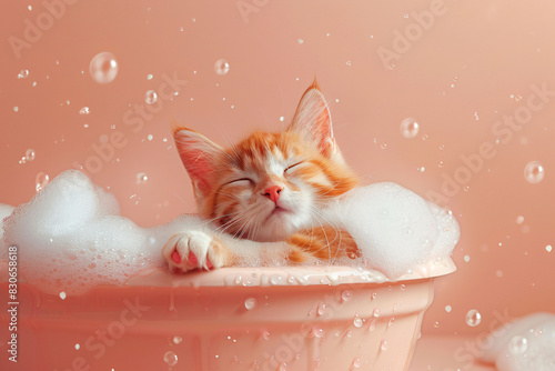 Cute cat taking a bath in a tub, isolated background. photo