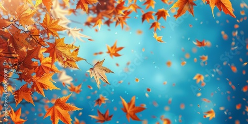 Fall themed Background, with Leaves against Blue Sky. Seasonal Banner with copy-space. © Павел Озарчук