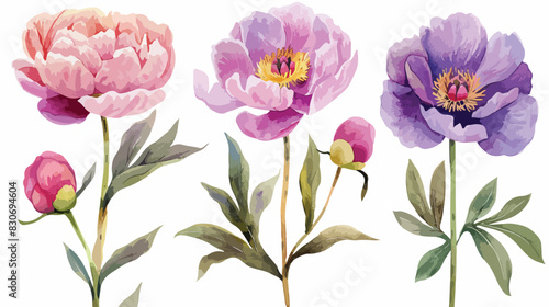 Watercolor floral Four  illustrations spring flowers.