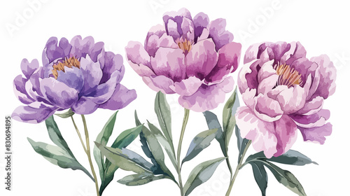Watercolor floral illustration spring flowers. Pink a