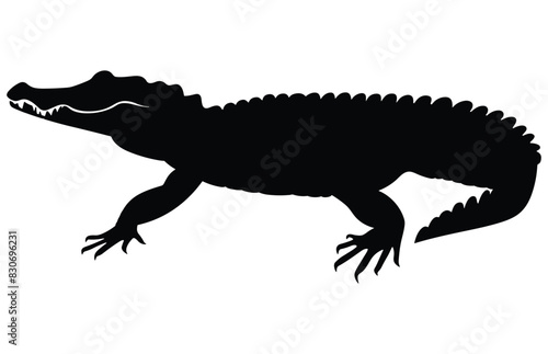 Crocodile and alligator silhouette  Alligator straight tail silhouette 