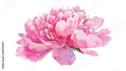 Watercolor pink peony clip art hand drawn isolated on