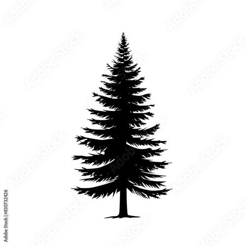 Silhouette of Pine Tree, Black and white silhouette of a pine tree with layered branches, showcasing its symmetrical and elegant shape.