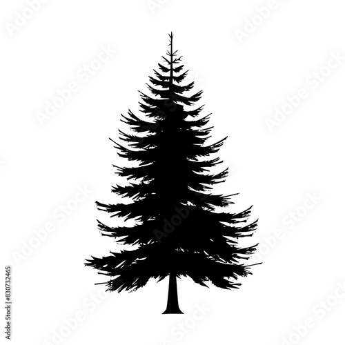 Silhouette of Pine Tree, Black and white silhouette of a pine tree with layered branches, showcasing its symmetrical and elegant shape.