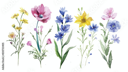 Wild flowers Four watercolor hand painting digital f