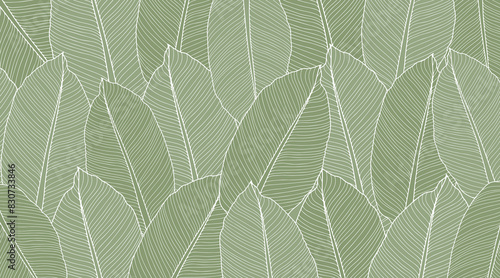 Vector green tropical background with banana leaves for decor, covers, backgrounds, wallpapers