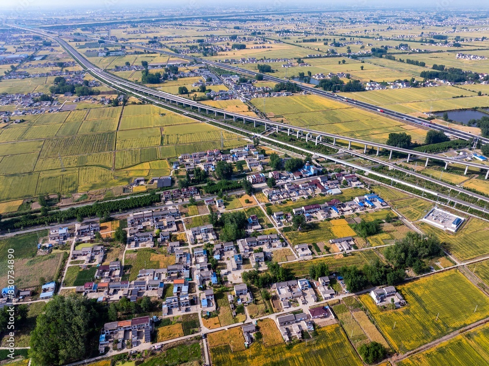 Huai 'an, Jiangsu, China: A golden wheat harvest is in sight

On May 25, 2024, the countryside of Huaian District in Huai 'an city, Jiangsu province, turned yellow. Overlooking the vast yellow and gre