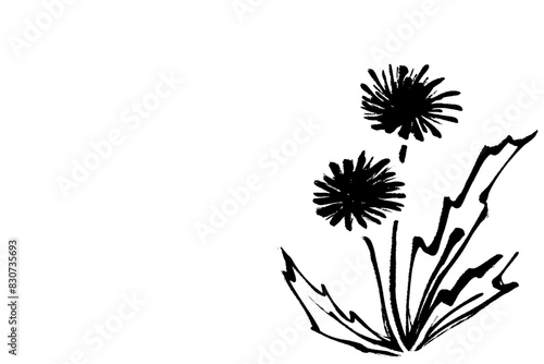 筆タッチのシンプルなたんぽぽの線画イラスト