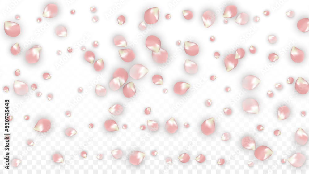 H39__pPetal2.eps H39__pPetal2.eps