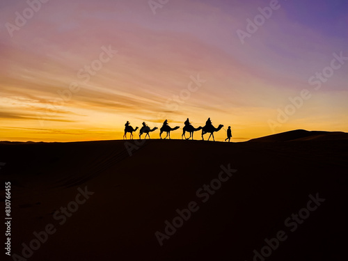 W  stenkarawane  Kamele im Sonnenuntergang