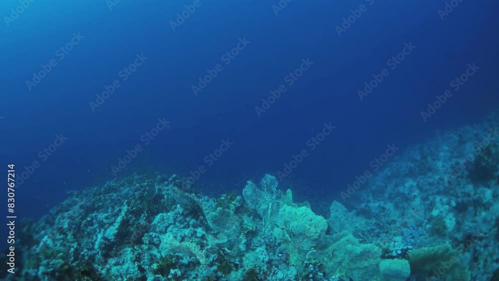 The ocean is blue and the rocks are white. The water is calm and peaceful. Concept of tranquility and serenity The ocean is blue and the rocks are white. The water is calm and peaceful. Concept of tranquility and serenity