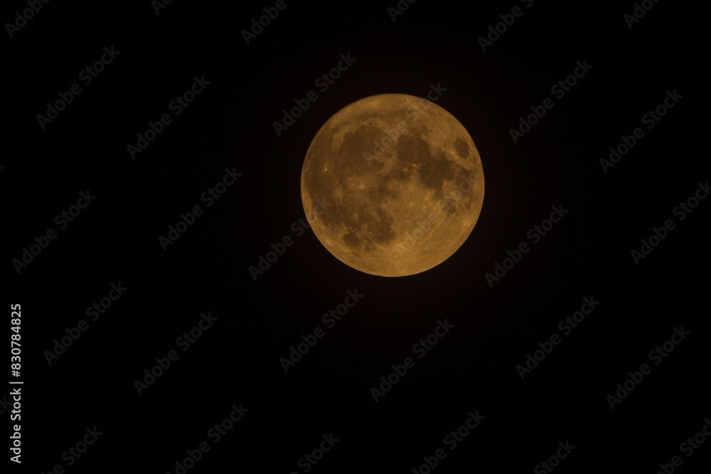 Obraz premium Full moon in the moonlight night sky. Closeup detailed defined with copy space