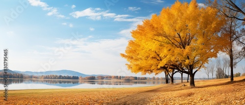 Autumn landscape with colorful yellow leaves, natural park, bright sunny day, beautiful trees 8K , high-resolution, ultra HD,up32K HD