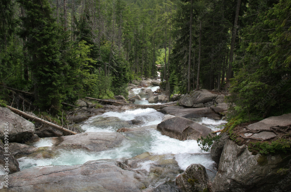 Landscape photo of the part of Vodopady Studeneho potoka waterfall surrounded by a dense pine forest near Stary Smokovec in High Tatras, Slovakia
Landscape photo of the part of Vodopady Studeneho potoka waterfall surrounded by a dense pine forest near Stary Smokovec in High Tatras, Slovakia