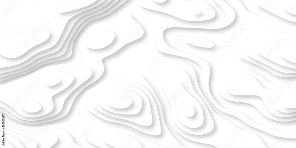 Vector 3D abstract background with paper cut shapes. paper cut topography vector art background banner texture. White wave paper curved reliefs abstract background. Realistic papercut decoration layer Vector 3D abstract background with paper cut shapes. paper cut topography vector art background banner texture. White wave paper curved reliefs abstract background. Realistic papercut decoration layer