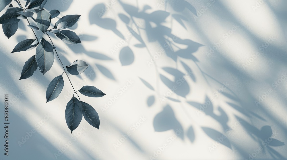 Minimalistic light background with blurred foliage shadow on white wall, elegant and simple, perfect for presentations, highresolution image, serene and stylish Minimalistic light background with blurred foliage shadow on white wall, elegant and simple, perfect for presentations, highresolution image, serene and stylish