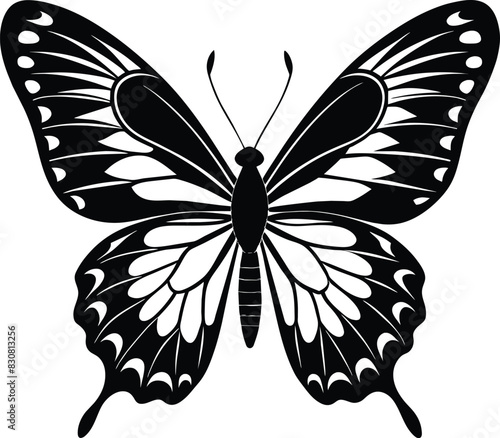  Butterfly silhouette vector illustration design © Mizanul_Islam