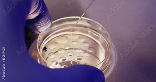 Embryologist conducting artificial fertilization of a human egg in a laboratory setting. Laboratory scene depicting precise IVF procedures. Close-up shot of IVF procedure.
