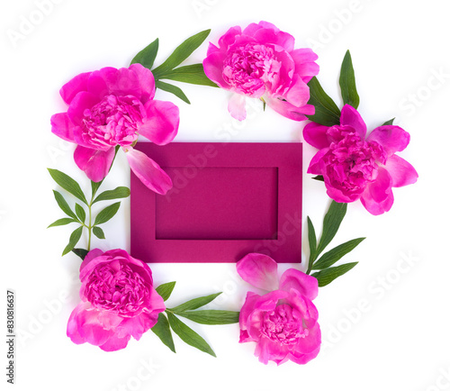 Garland of beautiful pink peonies on white isolated background with postcard for congratulations or invitations. Creative floral wreath.