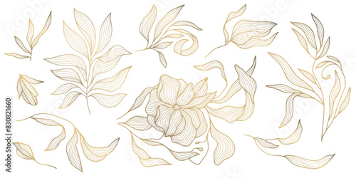 Vector set of gold leaves and flower isolated, plant branch line illustration, luxury foliage decoration. Vintage ornament elements, jungle, summer background