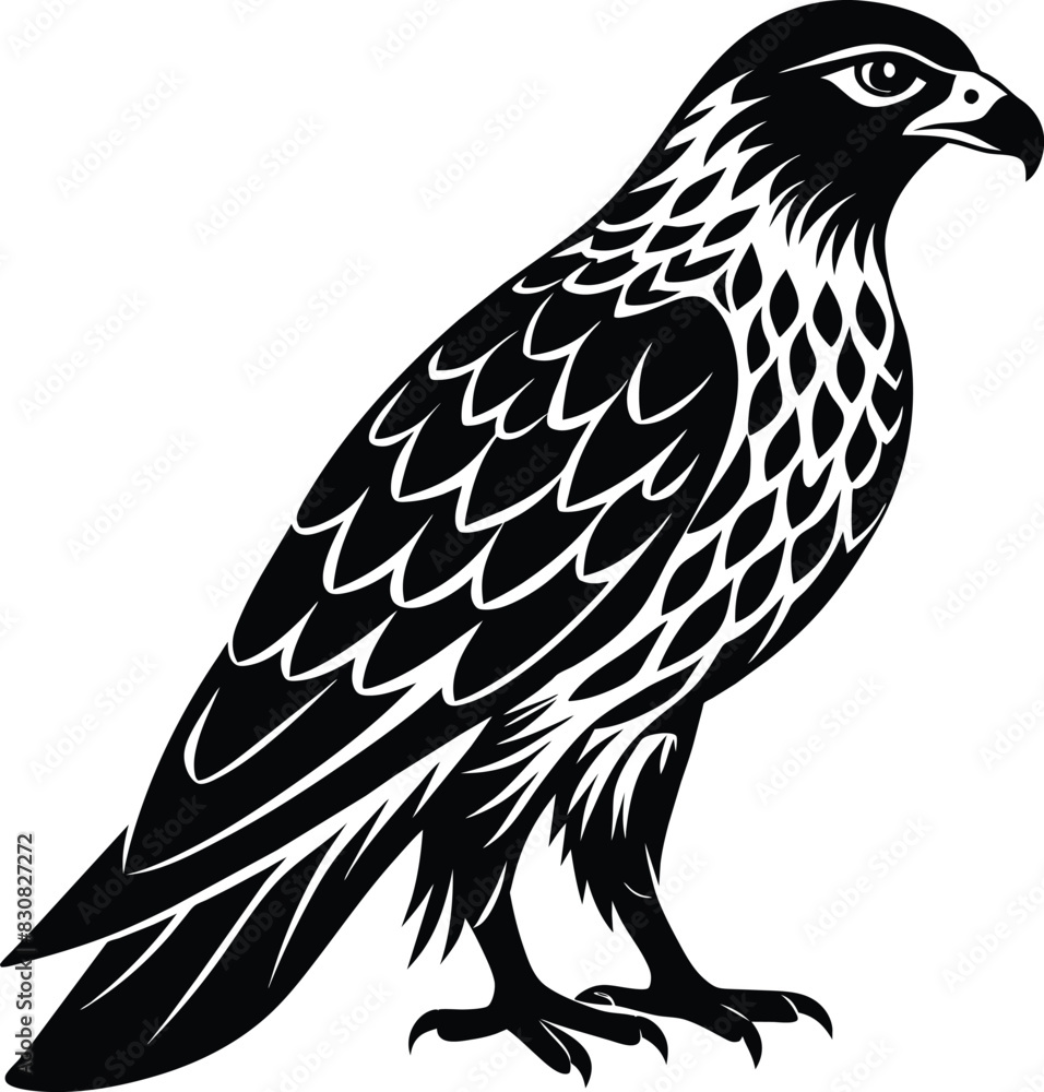 Fototapeta premium Hawk silhouette vector illustration design 