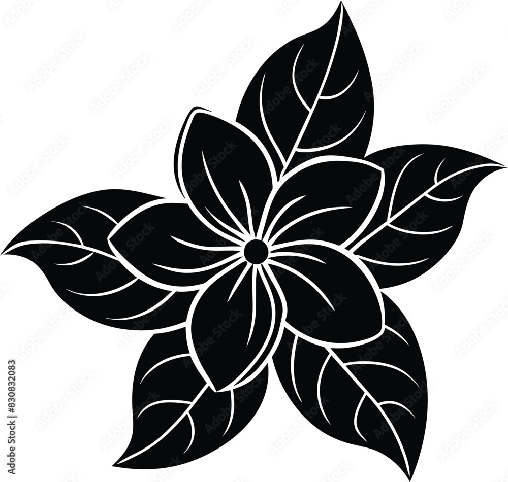 Jasmine silhouette vector illustration design
Jasmine silhouette vector illustration design