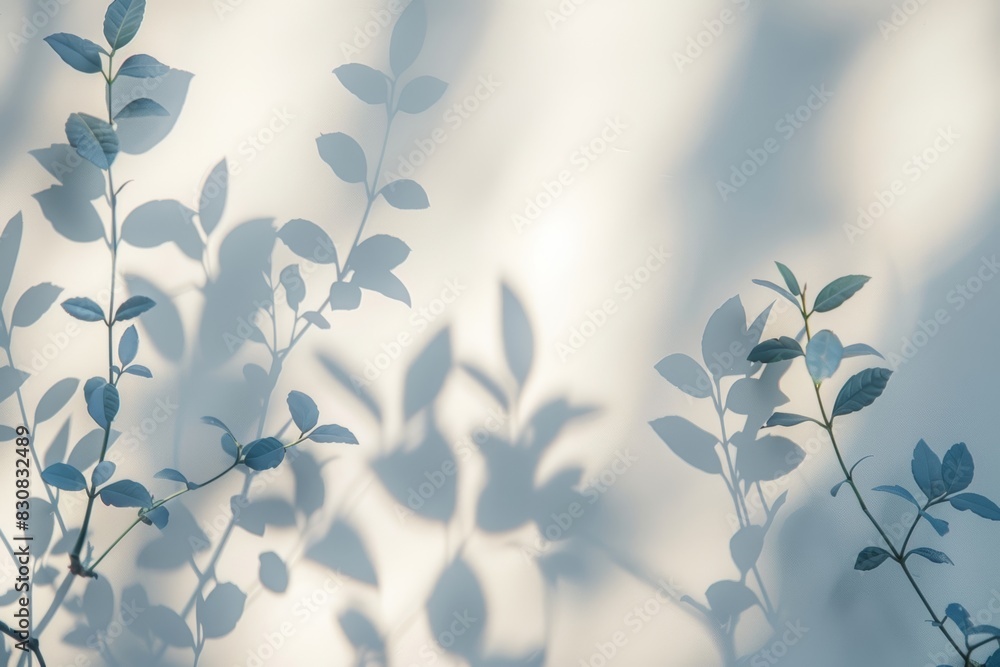 Blurred foliage shadow on white wall, minimalistic light background, ideal for presentation, highquality image, elegant and serene, soft and modern Blurred foliage shadow on white wall, minimalistic light background, ideal for presentation, highquality image, elegant and serene, soft and modern