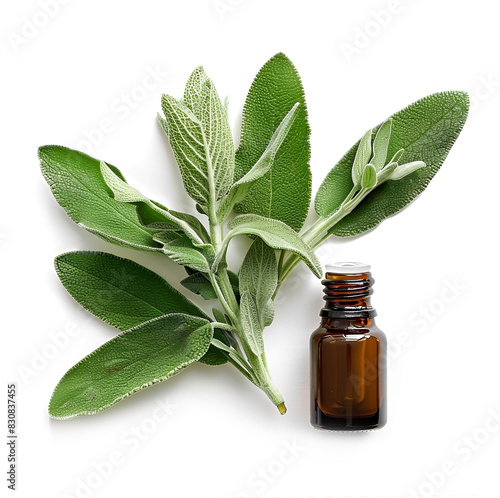 Sage essential oil with sage herbs