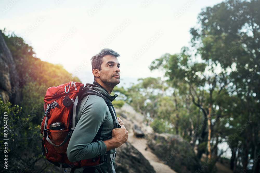 Hiking, thinking or fitness man with backpack in forest for wellness, peace and morning cardio in nature. Sport, idea or athlete explorer in park for path, route or planning trekking, journey or walk Hiking, thinking or fitness man with backpack in forest for wellness, peace and morning cardio in nature. Sport, idea or athlete explorer in park for path, route or planning trekking, journey or walk