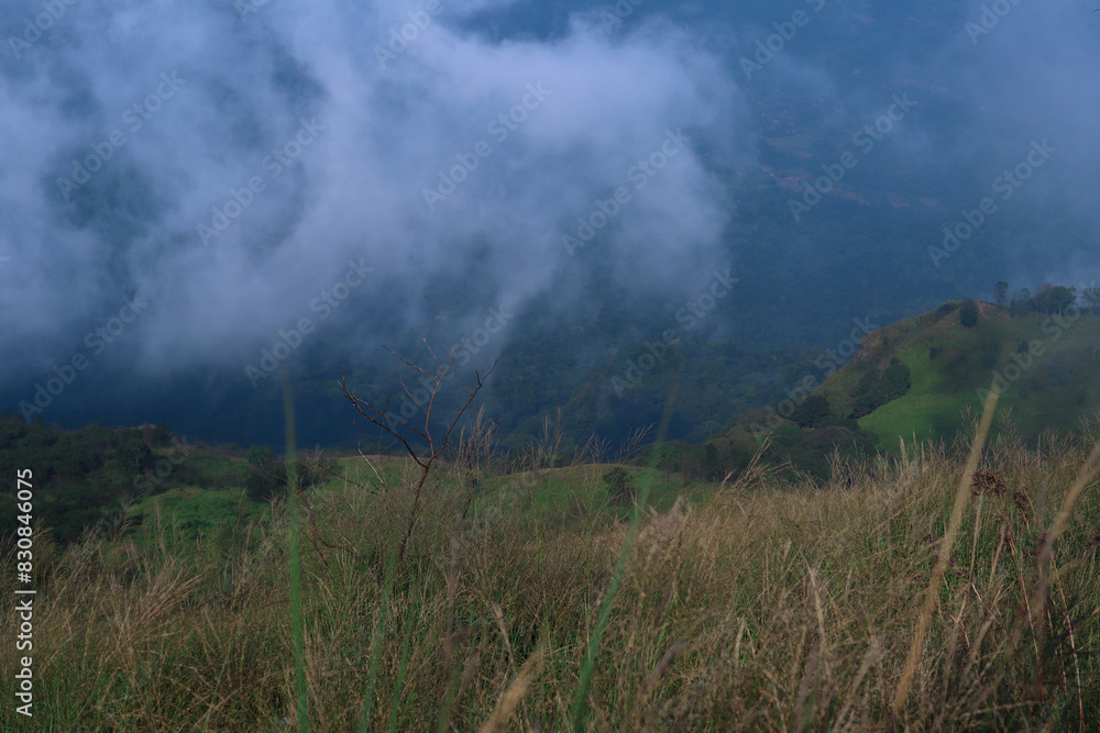 photo of the savanna in the highlands of the mountains with a beautiful atmosphere photo of the savanna in the highlands of the mountains with a beautiful atmosphere