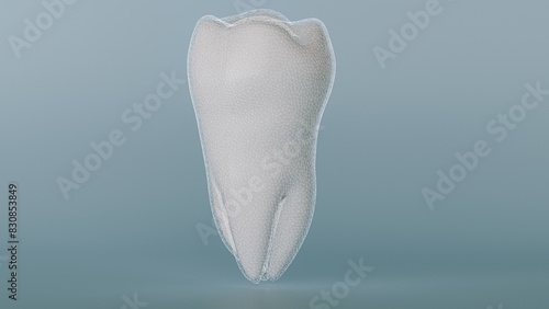 3D Rendering of a Tooth with Protective Mesh