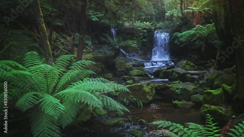 Fresh water river flow in Tasmania forest. Australia travel - Horseshoe falls