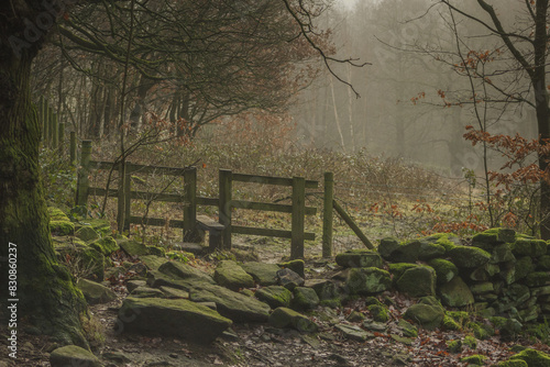 An old wooden stile provides an entrance from woodland to a footpath through a meadow bathed in autumn mist photo