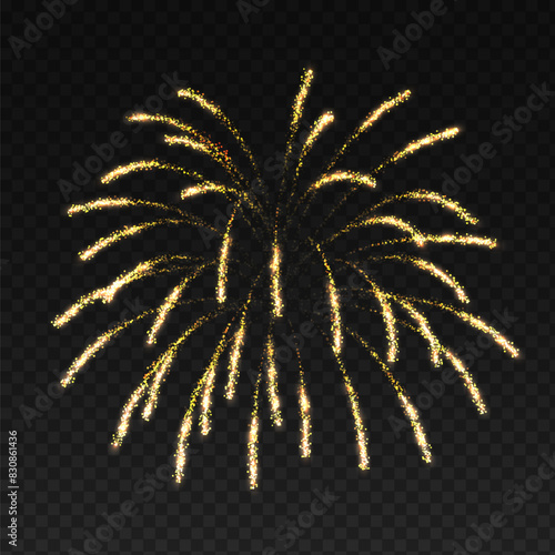 Sparkling firework palm shape realistic vector illustration. Holiday event fire explosive show in dark sky 3d element on transparent background