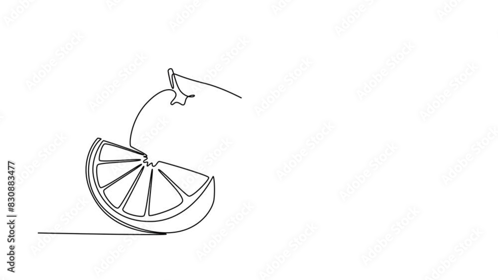 Animated self drawing of continuous line draw of whole and sliced healthy organic orange for orchard logo identity. Fresh summer fruitage concept for fruit juice icon. Full length one line animation Animated self drawing of continuous line draw of whole and sliced healthy organic orange for orchard logo identity. Fresh summer fruitage concept for fruit juice icon. Full length one line animation