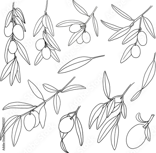 Vector Olives Clipart set, hand drawn liner sketch Oliva branch, Olives leaves illustration, Greenery DIY, Wedding Invites, Logo Design, card making